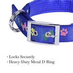 Load image into Gallery viewer, Leash &amp; Collar-Nylon Print Padded for Dogs (Color May Vary)