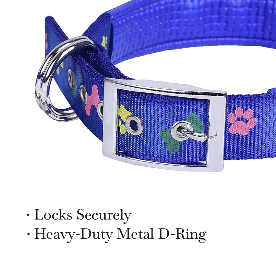 Leash & Collar-Nylon Print Padded for Dogs (Color May Vary)