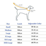 Load image into Gallery viewer, Poly Print Padded Leash &amp; Collar Set for Dogs