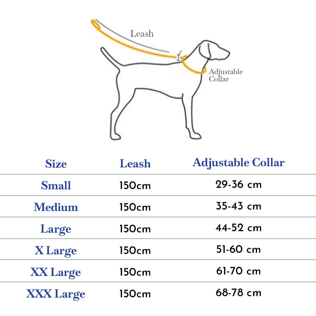 Poly Print Padded Leash & Collar Set for Dogs
