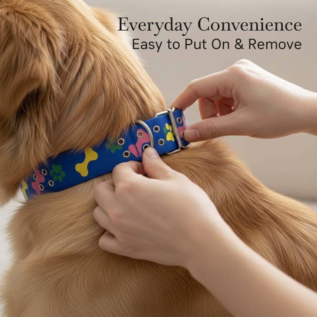 Leash & Collar-Nylon Print Padded for Dogs (Color May Vary)