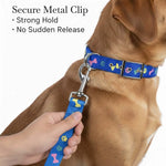 Load image into Gallery viewer, Leash &amp; Collar-Nylon Print Padded for Dogs (Color May Vary)