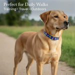 Load image into Gallery viewer, Leash &amp; Collar-Nylon Print Padded for Dogs (Color May Vary)