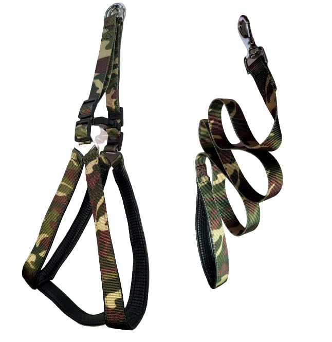 Poly Print Padded Leash & Harness Set for Dogs
