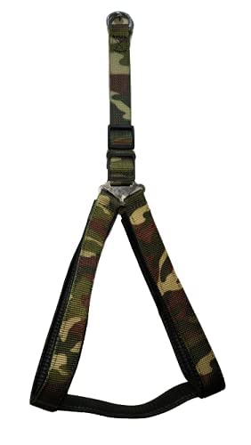 Poly Print Padded Leash & Harness Set for Dogs