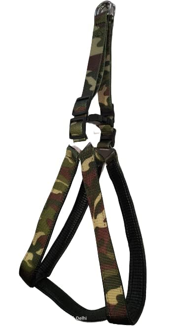 Poly Print Padded Leash & Harness Set for Dogs