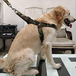 Load image into Gallery viewer, Poly Print Padded Leash &amp; Harness Set for Dogs