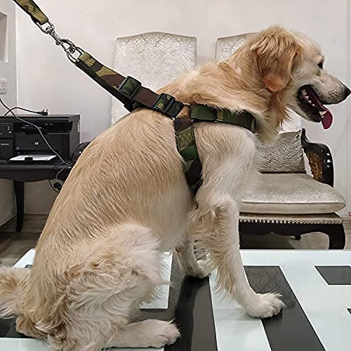 Poly Print Padded Leash & Harness Set for Dogs