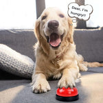 Load image into Gallery viewer, NB Pet Training Bell