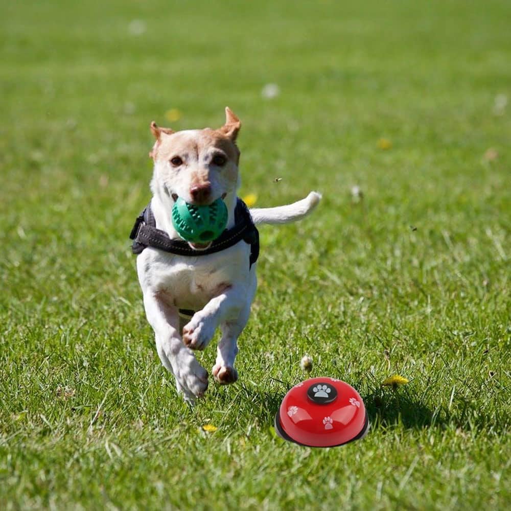 NB Pet Training Bell
