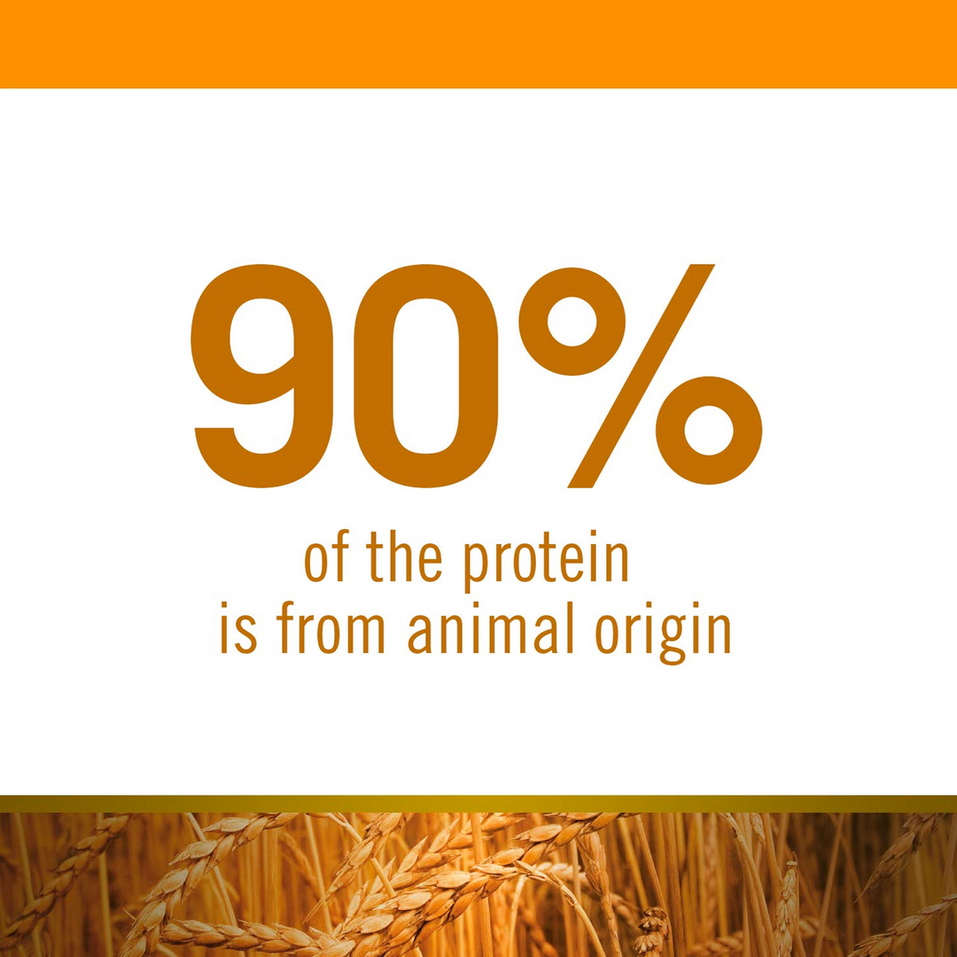 Farmina N&D Ancestral Grain Chicken & Pomegranate Adult Medium & Maxi Dog Food - 15Kg