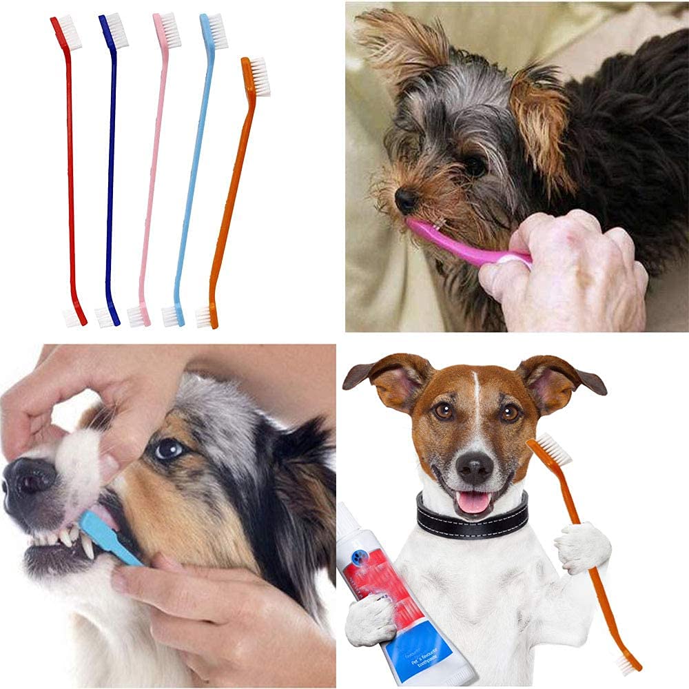 Nunbell Tooth Brush & Paste Kit