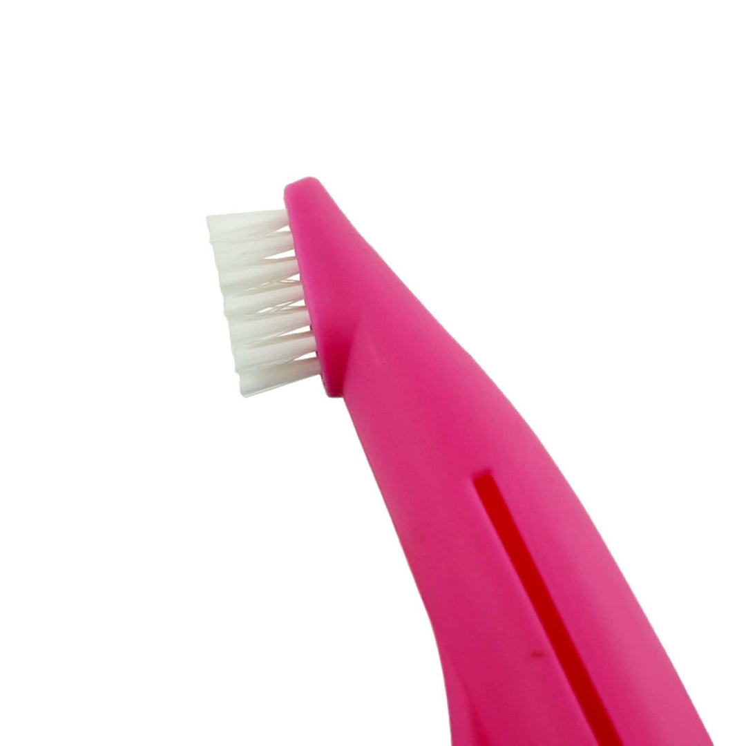 Nunbell Tooth Brush & Paste Kit