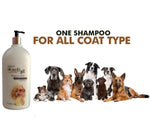 Load image into Gallery viewer, OMD Shampoo - Oatmeal &amp; Itch Relief