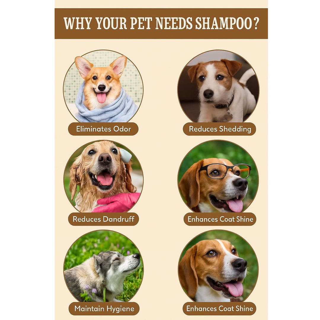 OMD Shampoo - Odour Control