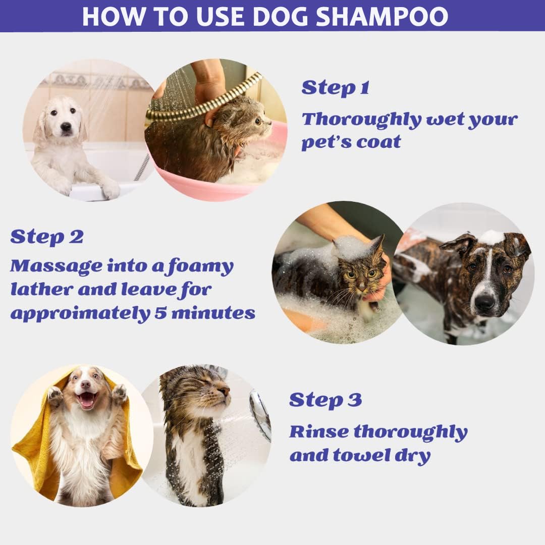 OMD Shampoo - Odour Control