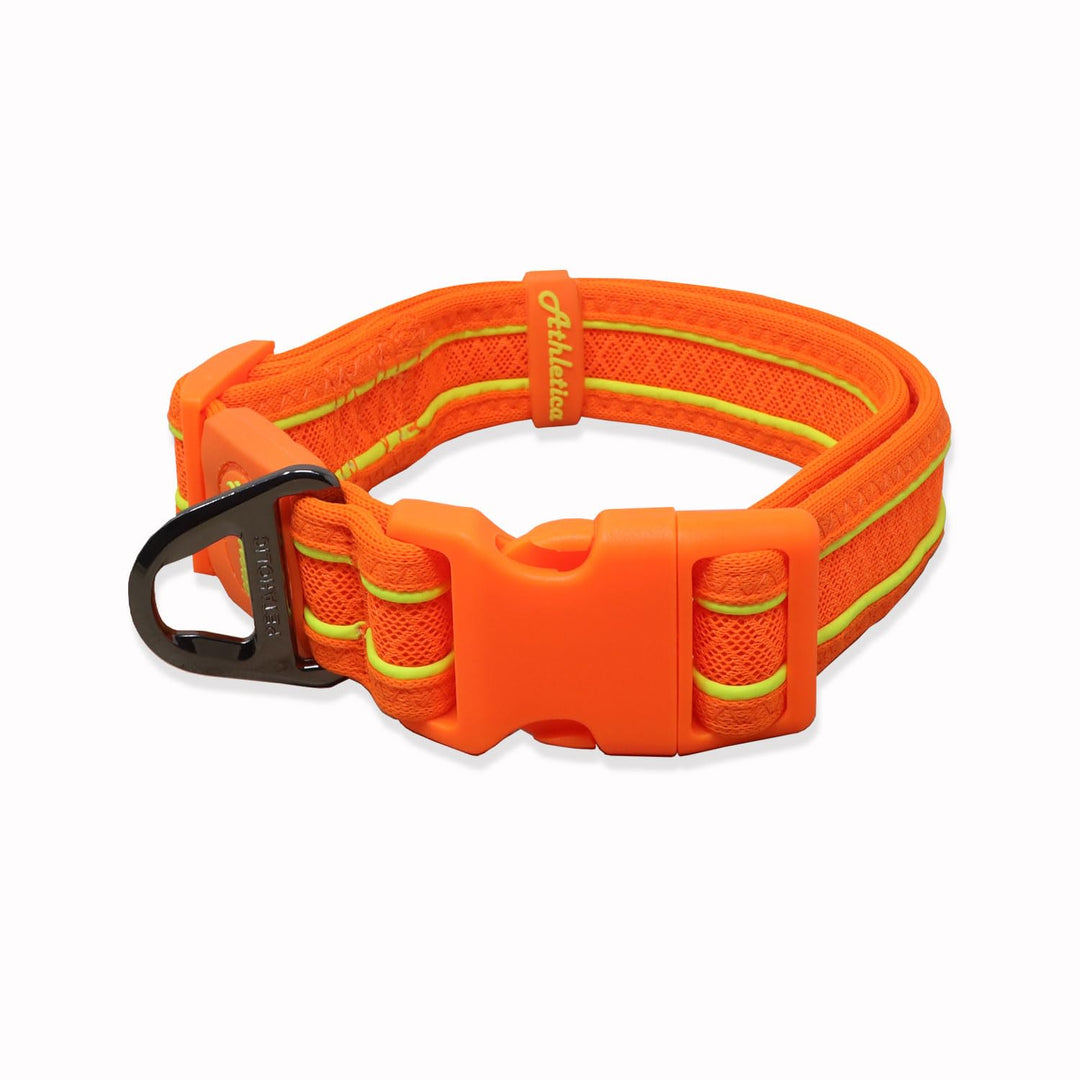 Petaholic Athletica Series Dog Collar