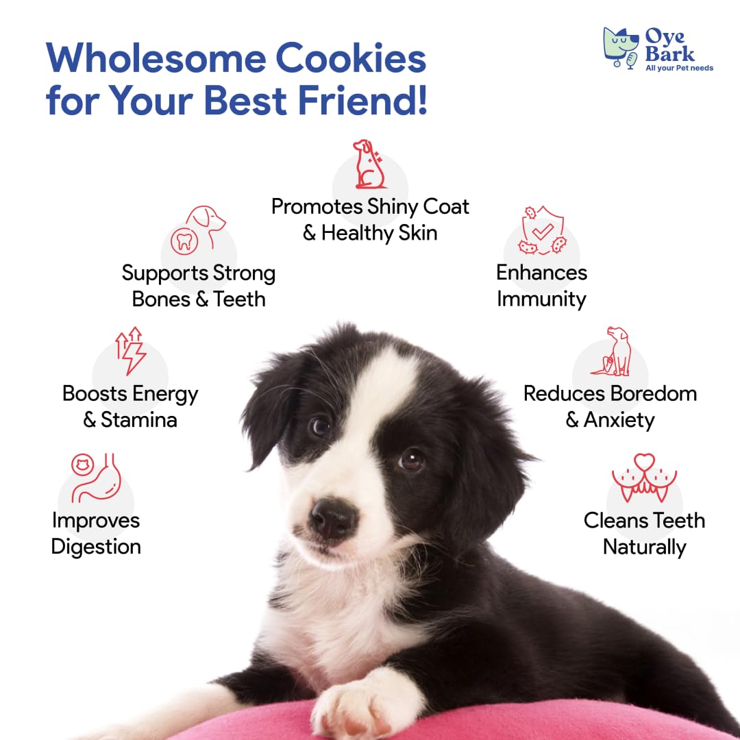 OyeBark BarkBite Premium Dog Cookies - 500g