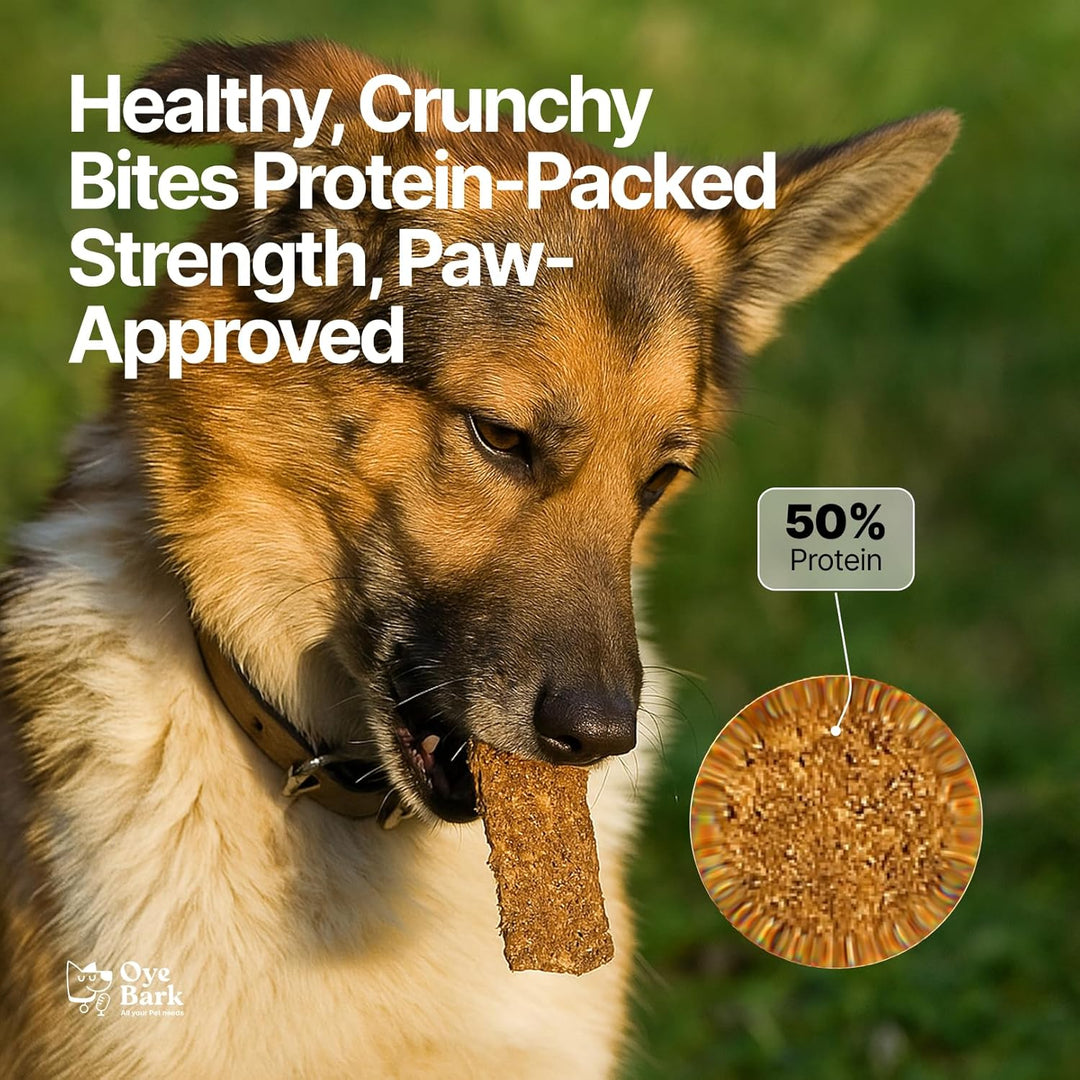 OyeBark Crunchy Munchy Protein Bar for Dogs