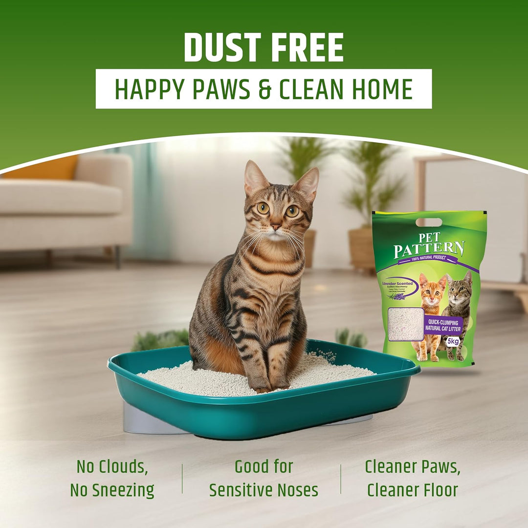 Pet Pattern Cat Litter Lavender 5Kg