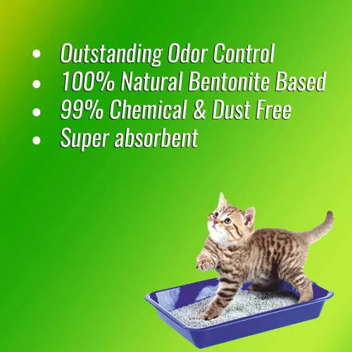 Pet Pattern Cat Litter Lemon 5Kg