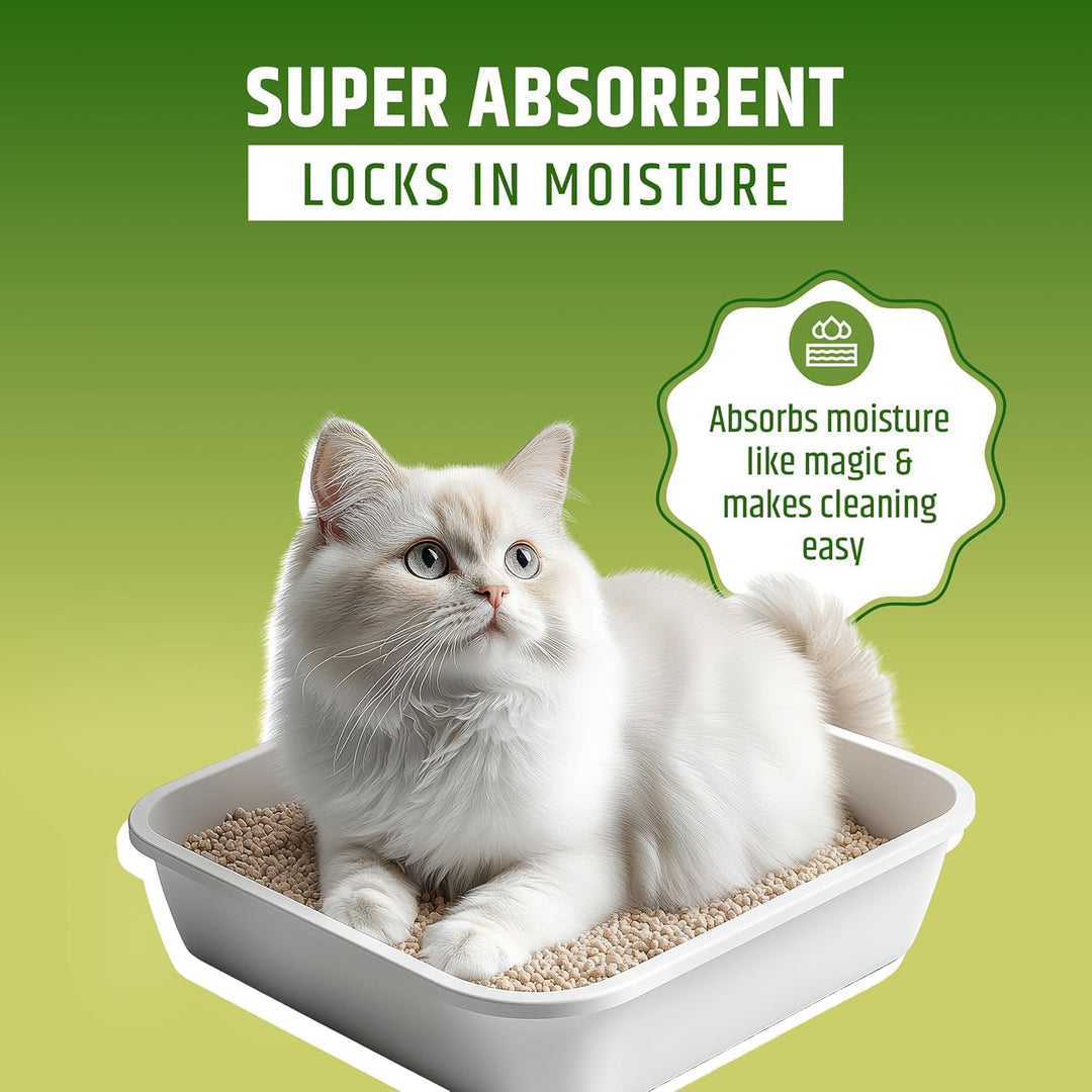 Pet Pattern Cat Litter Plain