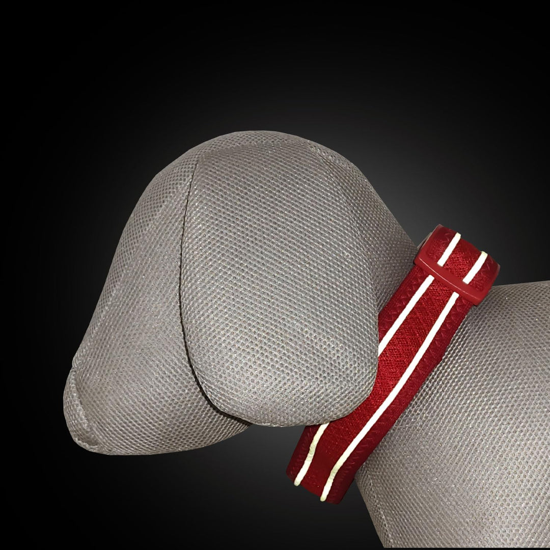 Petaholic Athletica Series Dog Collar