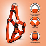 Load image into Gallery viewer, Petaholic Air Mesh Dog Harness – Ultra-Breathable &amp; Comfort-Fit