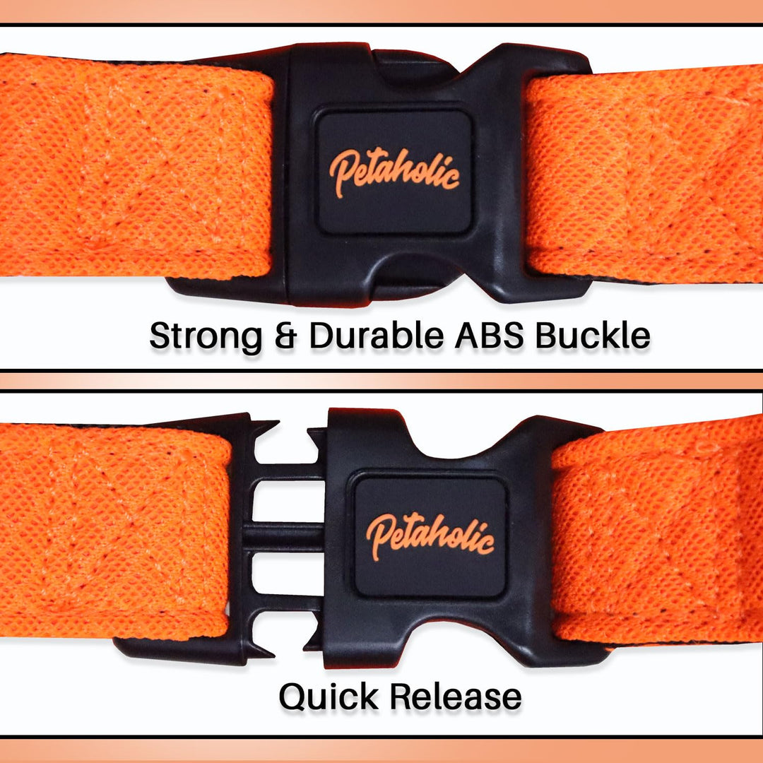 Petaholic Air Mesh Dog Harness – Ultra-Breathable & Comfort-Fit