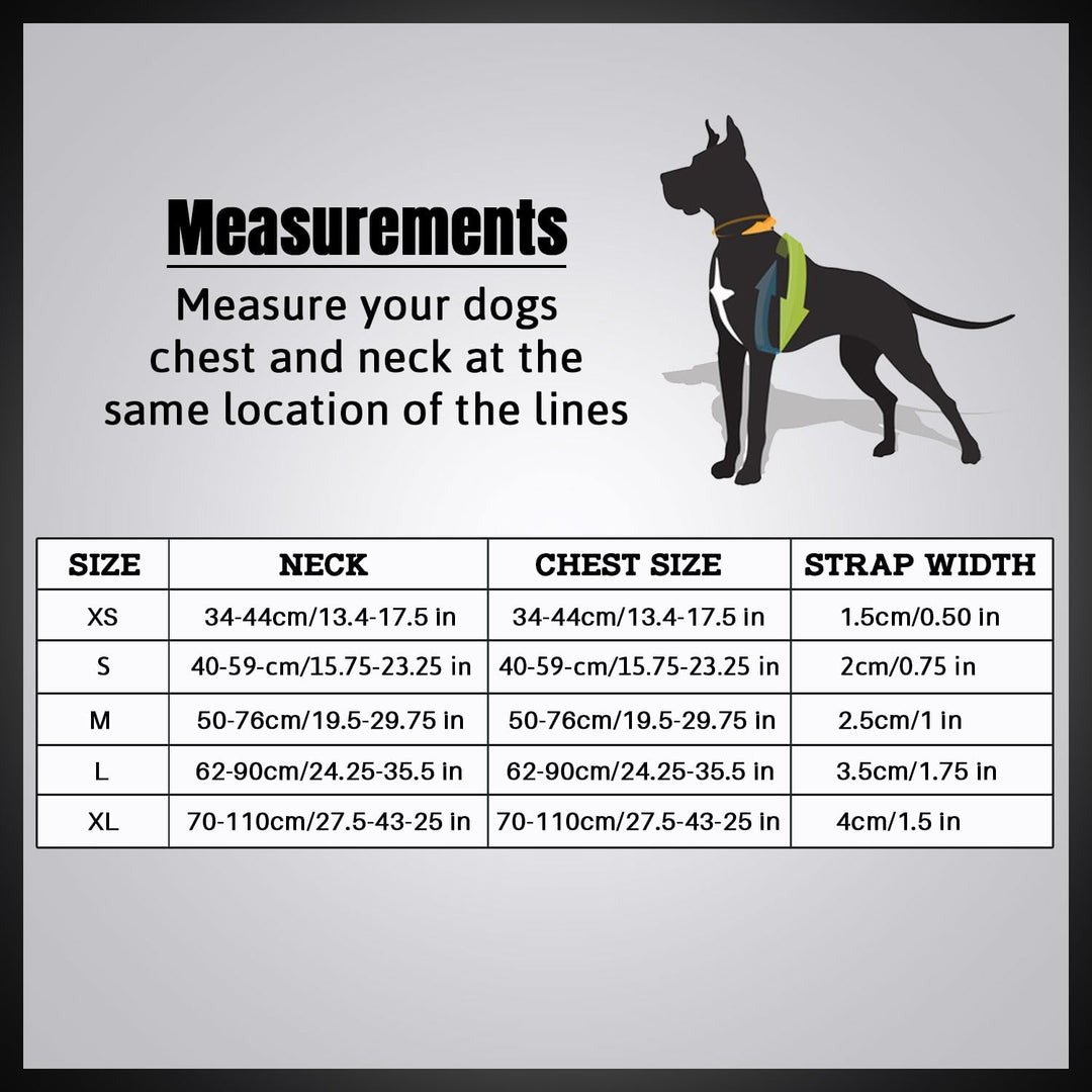 Petaholic Air Mesh Dog Harness – Ultra-Breathable & Comfort-Fit