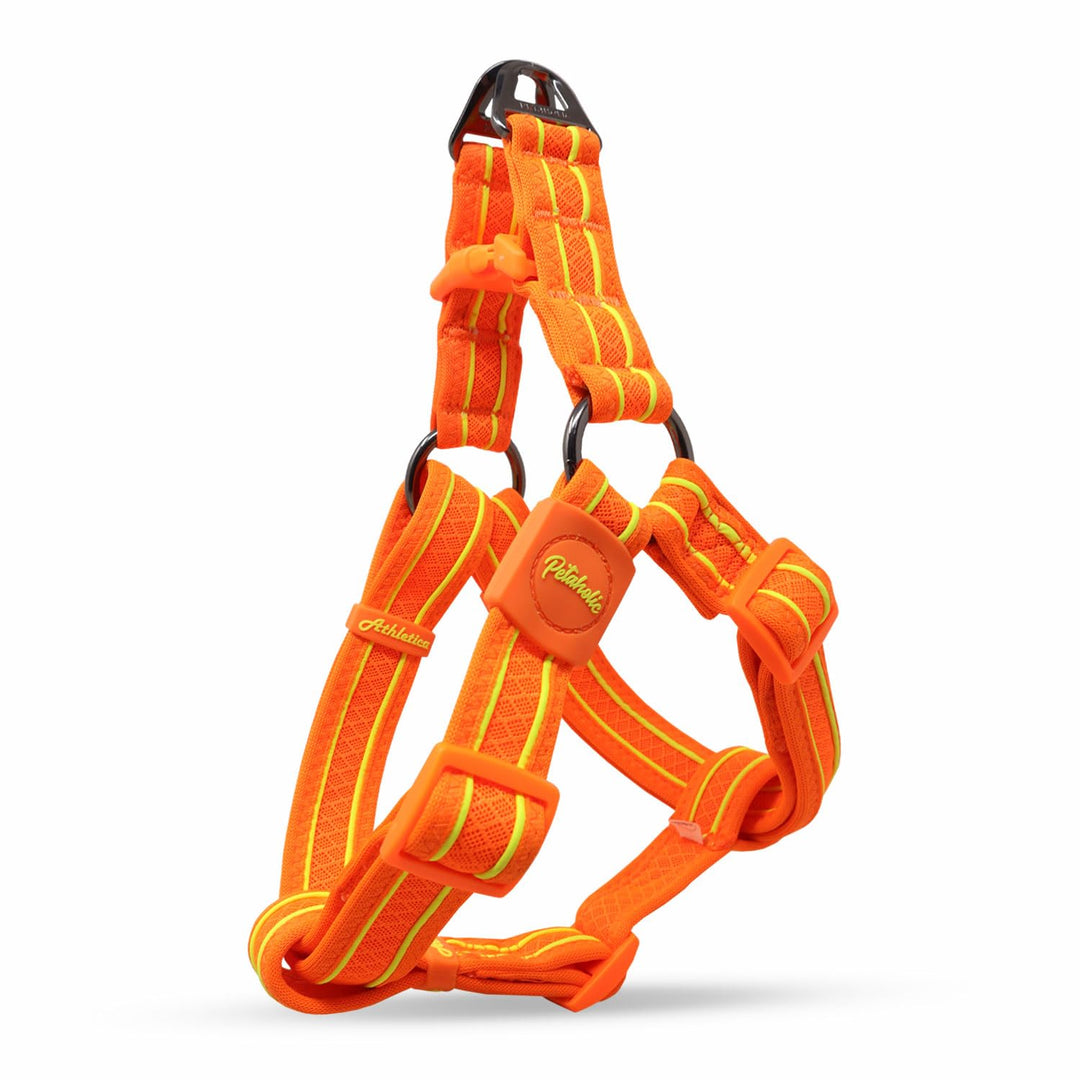 Petaholic Athletica Series Dog Harness