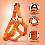 Load image into Gallery viewer, Petaholic Athletica Series Dog Harness