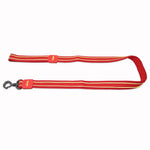 Load image into Gallery viewer, Petaholic Athletica Series Dog Leash