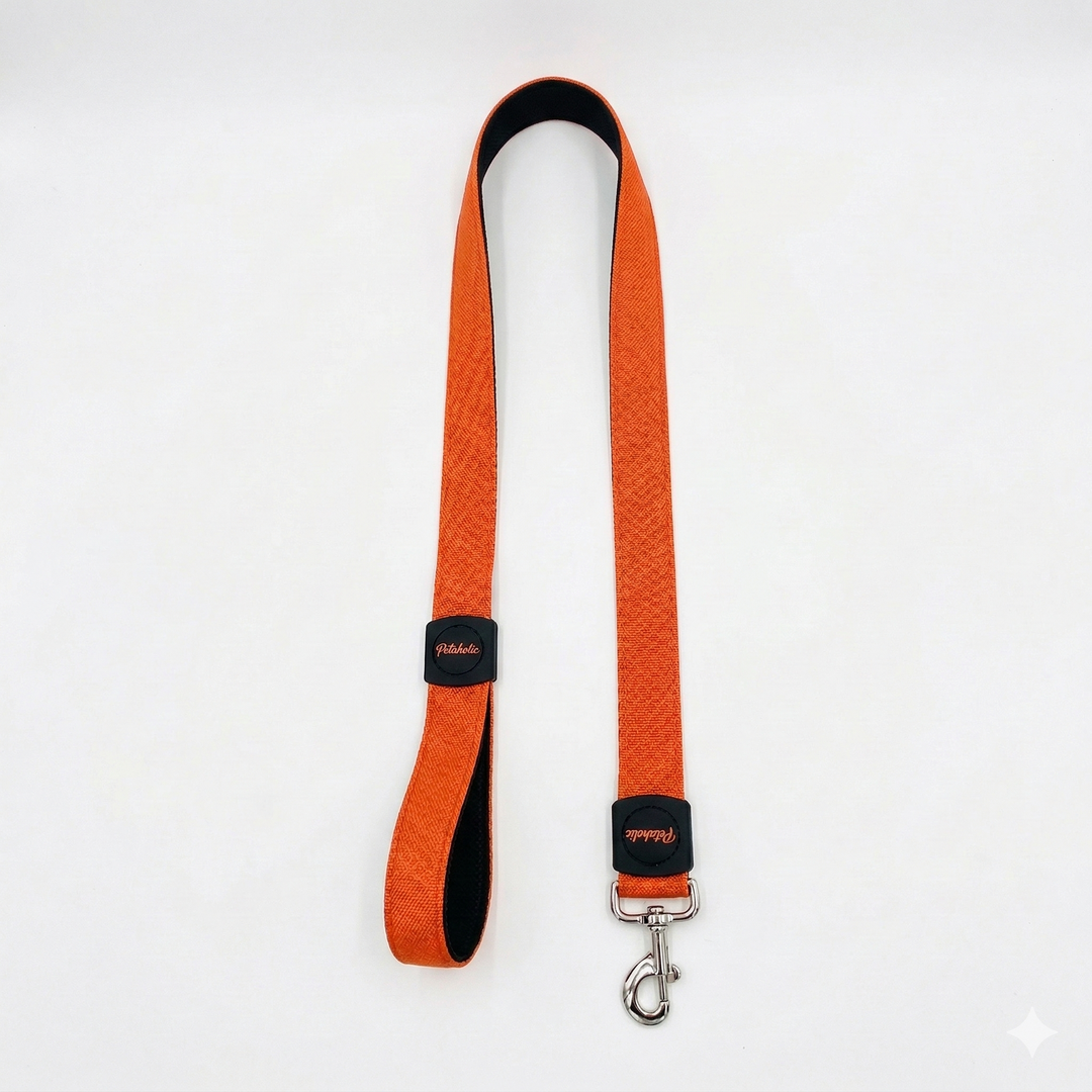 Petaholic Air Mesh Series Dog Leash