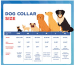 Load image into Gallery viewer, Plain Nylon Padded Leash &amp; Harness Set for Dogs (Color May Vary)