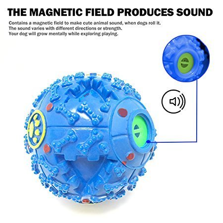 Plastic Sound Ball (Color May Vary)