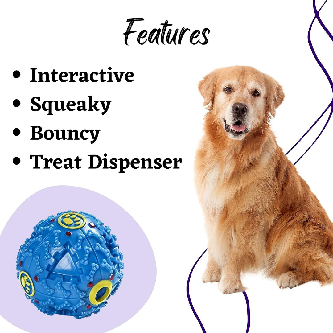 Plastic Sound Ball (Color May Vary)