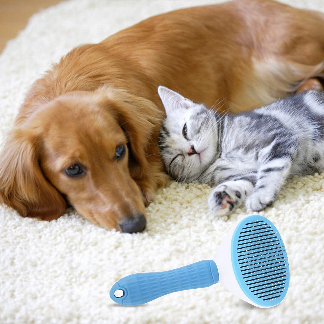 Push-to-Clean Sleeker for Pet Oval Shape