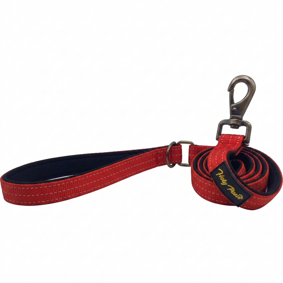 Holy Paws Plus Leash