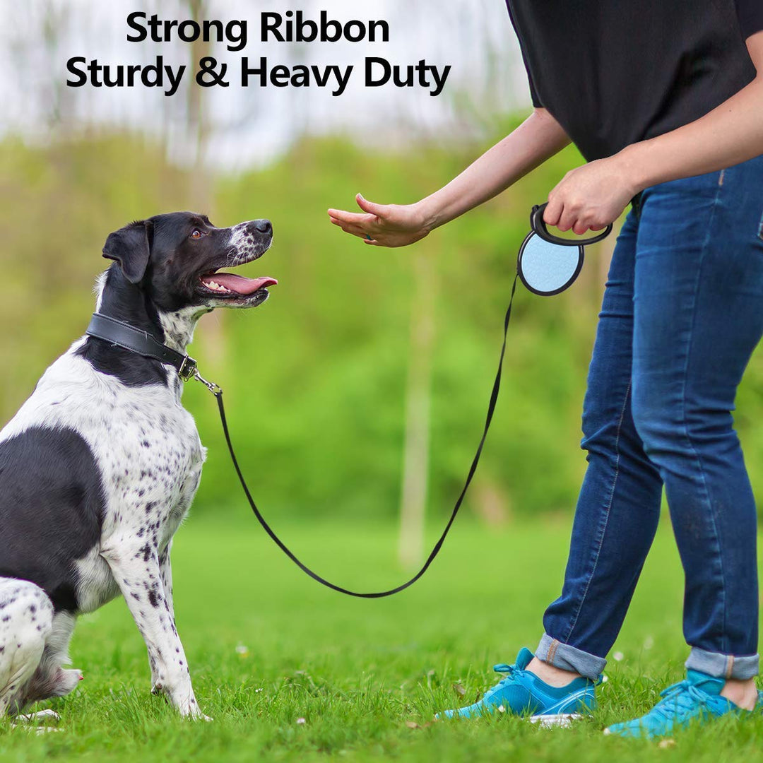 Retractable Leash - Large
