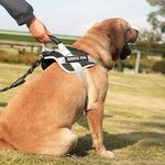Load image into Gallery viewer, Service Dog Double Padding Harness (Color May Vary)