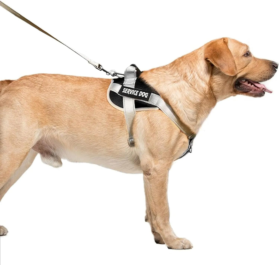 Service Dog Double Padding Harness (Color May Vary)
