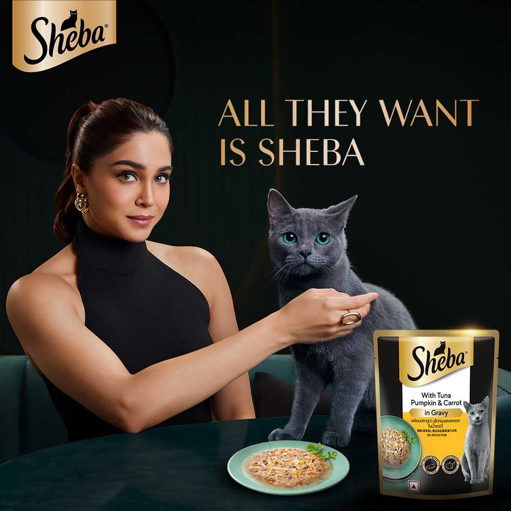 Sheba Adult Tuna Pumpkin & Carrot in Gravy