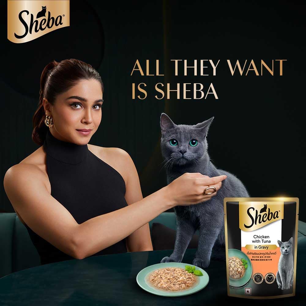 Sheba Chicken with Tuna in Gravy