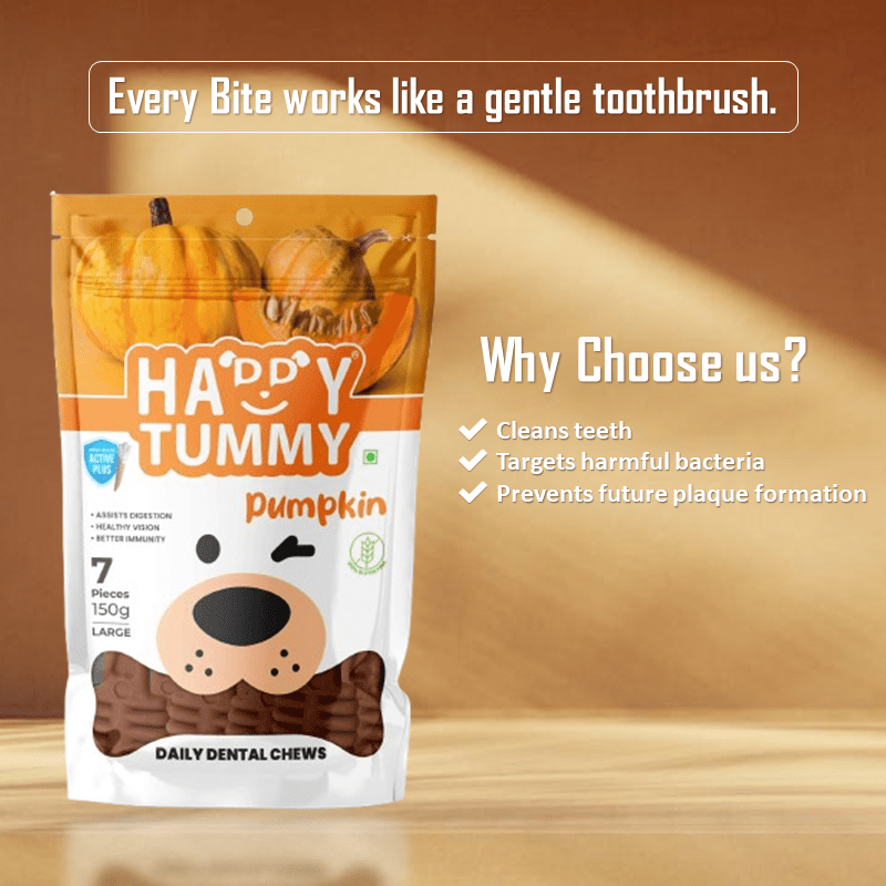 Happy Tummy Pumpkin Dental Chews – Large(7 Pieces, 150gm)