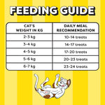 Load image into Gallery viewer, Temptations Seafood Medley Flavour Cat Treats - 85gm