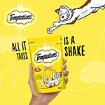 Load image into Gallery viewer, Temptations Tasty Chicken Flavour Cat Treats (85g)