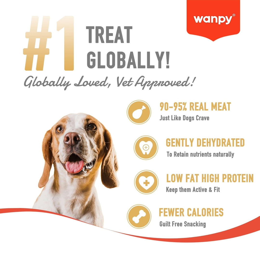 Wanpy Soft Duck Jerky Strips Dog Treats (100g)