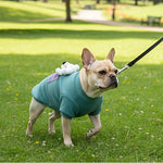 Load image into Gallery viewer, Winter Teddy Fleece Dog T-Shirt