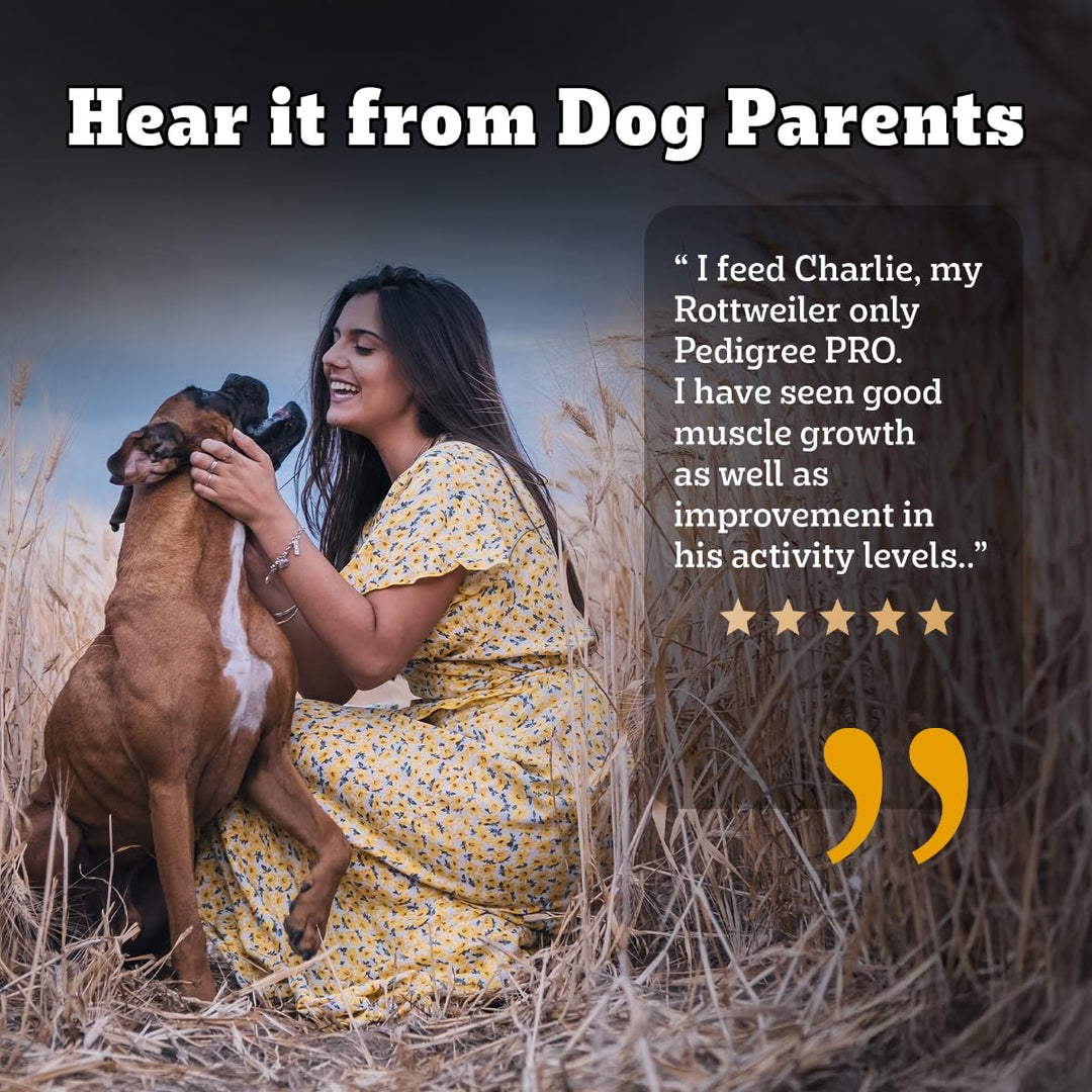 Pedigree Pro Active Adult Large Breed